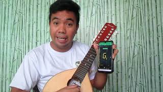 Tutorial Vlog 1 Tuning your Bandurria [upl. by Aniez]