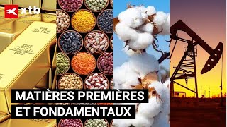 Matières premières et fondamentaux [upl. by Liberati]