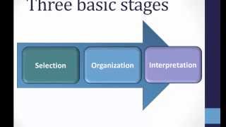 Perception Basics [upl. by Enohs]