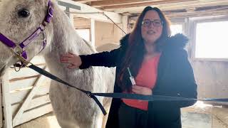 Administering IM Injection on a Horse [upl. by Etterraj761]