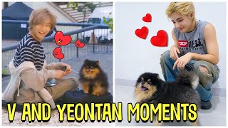 BTS V And His Dog Yeontan Cute Moments Feat Rocky [upl. by Wendy]