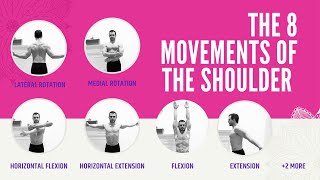 Shoulder Joint Movement [upl. by Nehepts]