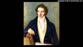 Vincenzo Bellini  Sinfonia in re minore  II Allegro con spirito [upl. by Enyehc]