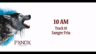 10 AM  Panda Letra HD [upl. by Hewitt793]