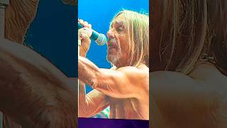 Iggy Pop  “Lust For Life” Corona Capital 2024 CDMX México 2 [upl. by Obie]