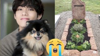 BTS NEWS TODAYBTS V’s Beloved Dog Yeontan Passes Away [upl. by Aarika229]