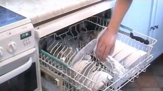 Salmon in a Dishwasher [upl. by Dimmick367]