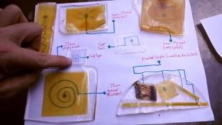 DIY Transparent Wood  Overview Recipe and Examples [upl. by Wiles]