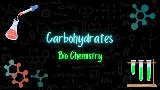 Carbohydrates  السكريات  Biochemistry  تعلم بالعربي [upl. by Margarette]