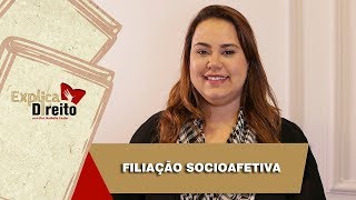 Explica Direito Filiação Socioafetiva  2019 [upl. by Ennahtebazile]