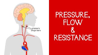 42 Cardiovascular Pressure Flow and Resistance [upl. by Ettelegna]