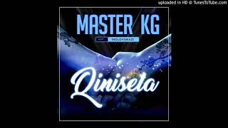 Master kg  Qinisela ft Indlovukazi official audio [upl. by Nysa]