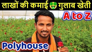 फूलों की मालामाल खेती 🌹🌹 गुलाब खेती  Biggest HiTech Rose Farming Business in India [upl. by Sarajane626]