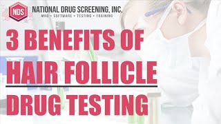 3 Benefits of Hair Follicle Drug Testing [upl. by Innattirb373]