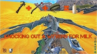 How to Knock Out A Wyvern In Solo Play Ark Survival Evolved [upl. by Hakvir]