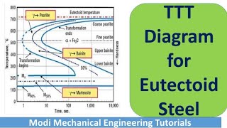 TTT Diagram for Eutectoid Steel  TTT Phase diagram  Material science and Metallurgy [upl. by Solracesoj603]