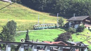 Train Wengen [upl. by Robbin]