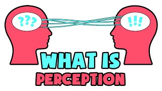 What is Perception  Explained in 2 min [upl. by Dode993]