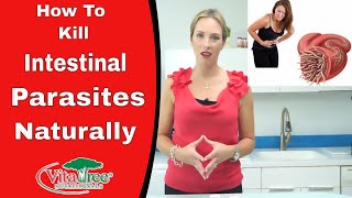 Tips How to Kill Parasites from the Body  VitaLife Show  Ep 167 [upl. by Anelrad]