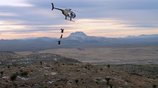 Return of the Desert Bighorn [upl. by Forelli525]