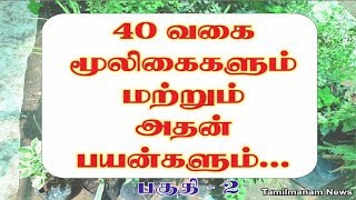 Herbs and their uses in tamil  40 herbal plants and their uses Part 2 [upl. by Etnoled789]