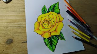 COMO DIBUJAR UNA ROSA CON COLORES ESCOLARES NORMA [upl. by Etnauq]