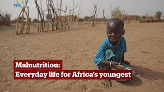 TRT World  World in Focus Malnutrition Everyday life for Africa’s youngest [upl. by Sil]