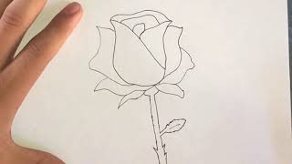 Como Dibujar Una Rosa Rapido Y Facil [upl. by Norret]