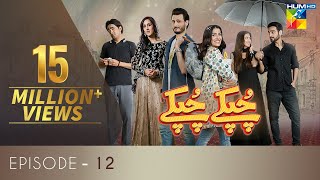 Chupke Chupke Episode 12  Digitally Presented by Mezan amp Powered by Master Paints  HUM TV  Drama [upl. by Yrelle]