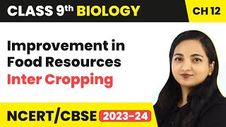 Cropping Patterns  Inter Cropping  Improvement in Food Resources  Class 9 Biology Chapter 12 [upl. by Lasiaf909]