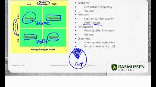 Marketing Mix Pricing Strategies [upl. by Neicul]