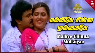 Malliye Chinna Mullaiyae Video Song  Pandithurai Tamil Movie Songs  Prabhu  Khusbhu  Ilaiyaraaja [upl. by Weig]