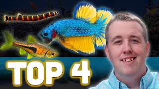 Top 4 Betta Tank Mates [upl. by Sexela]