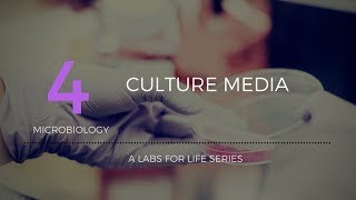 Culture Media [upl. by Eiten]