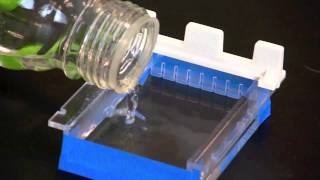 Casting an Agarose Gel [upl. by Surtemed311]