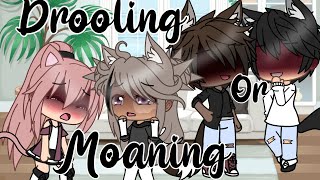 Drooling or moaningskitGacha lifeLovey Dovey [upl. by Craddock]