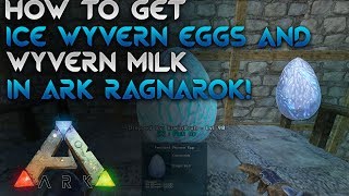 How to get an ice wyvern amp wyvern milk Easy  Ark Ragnarok [upl. by Ynaffital101]