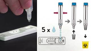 Rapid antigen screening [upl. by Chow821]