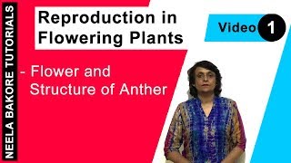 Reproduction in Flowering Plants  NEET  Flower and Structure of Anther  Neela Bakore Tutorials [upl. by Shalne]