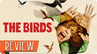 DIE VÖGEL Kritik Review Alfred Hitchcock 1963 [upl. by Elinnet]