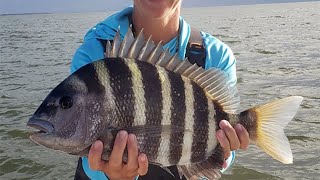 Sheepshead Fishing Tips Best Sheepshead Lures Rigs amp Mistakes [upl. by Natsyrt]