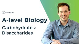 Carbohydrates Disaccharides  Alevel Biology  OCR AQA Edexcel [upl. by Nomead896]