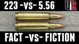 223 vs 556 FACTS and MYTHS [upl. by Erickson297]