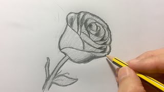 Cómo dibujar una rosa paso a paso [upl. by Lekar]