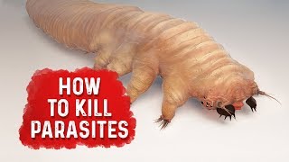 How To Kill Parasites  Dr Berg [upl. by Melar]