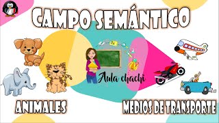 Campo Semántico y Familia de Palabras  Aula chachi  Vídeos educativos para niños [upl. by Euqilegna]