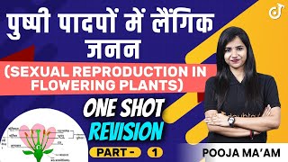 पुष्पी पादपों में लैंगिक जनन in Hindi  One Shot Revison  PART 1  Class 12 जीव विज्ञान Chapter 2 [upl. by Mendez]