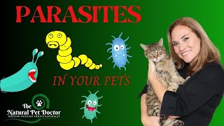 Top Natural Remedies For Parasites In Your Dogs amp Cats  Holistic Vet Advice [upl. by Eniliuqcaj]