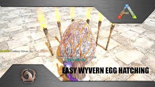 Ark Survival Evolved  Easy Wyvern Egg Hatching [upl. by Hayidan]