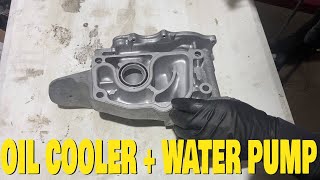 How to Install a K20 Oil Cooler on a K24  K24 MR2 BUILD [upl. by Mencher]